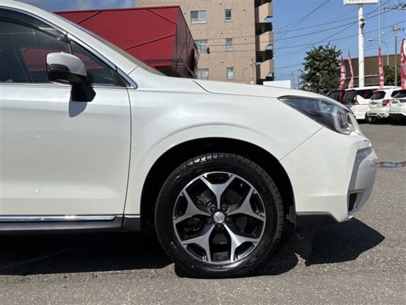 FORESTER