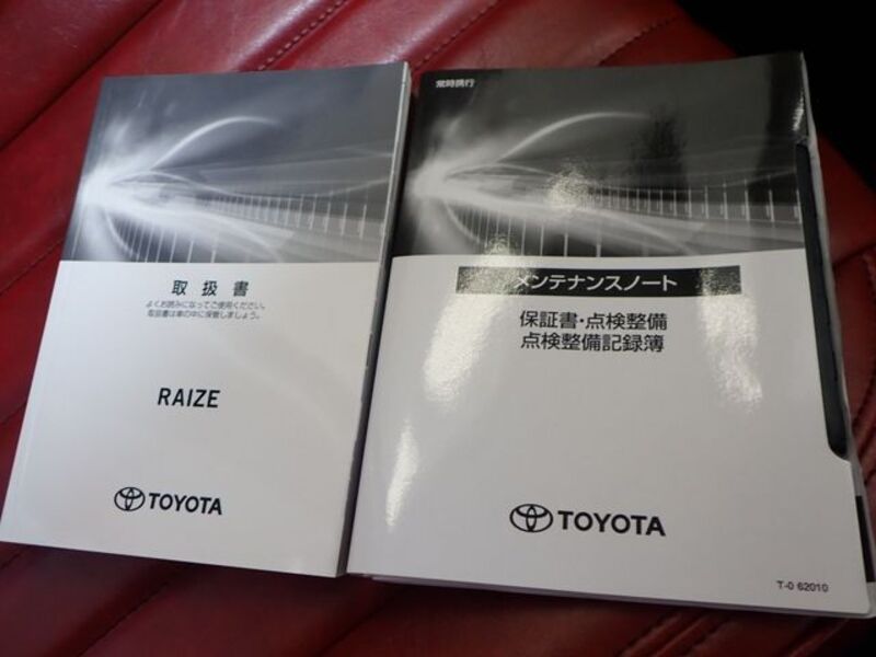 RAIZE