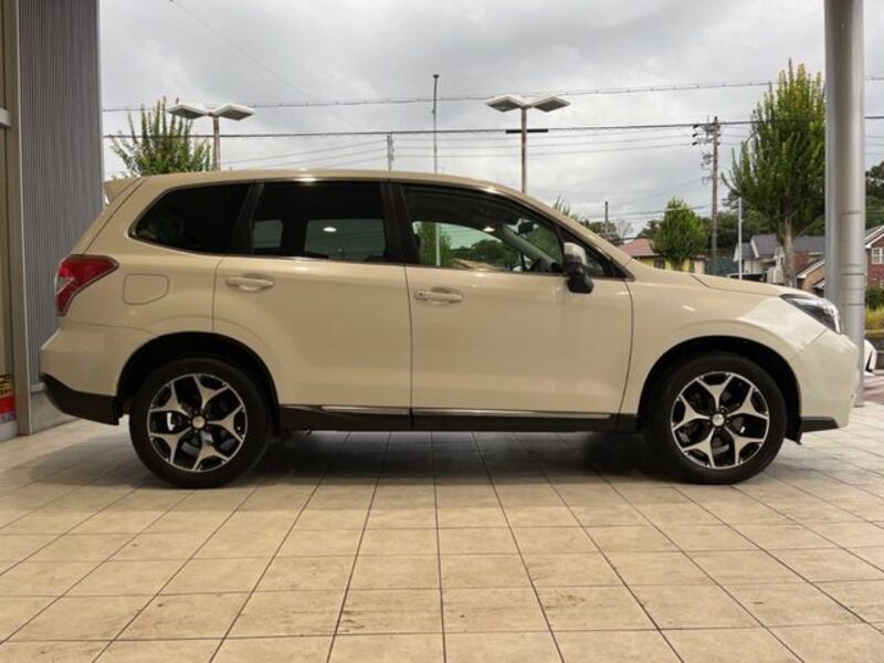 FORESTER