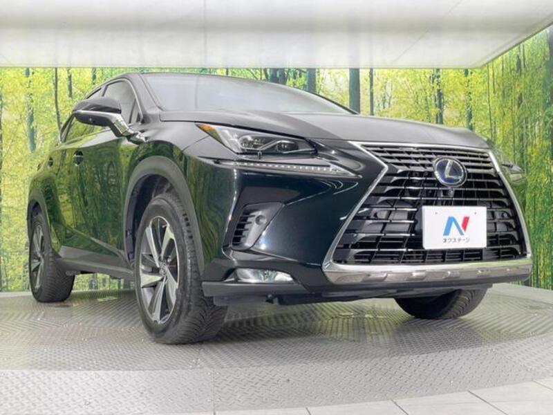 NX