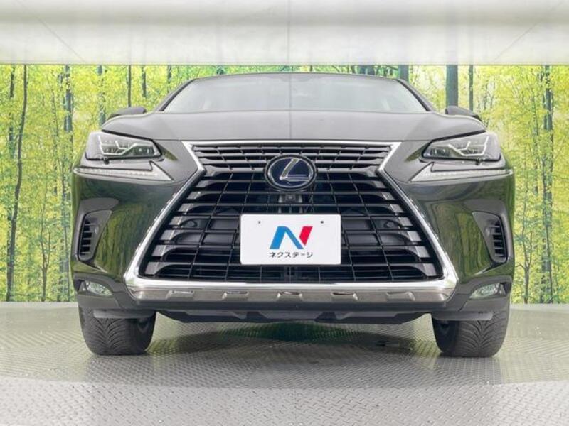 NX