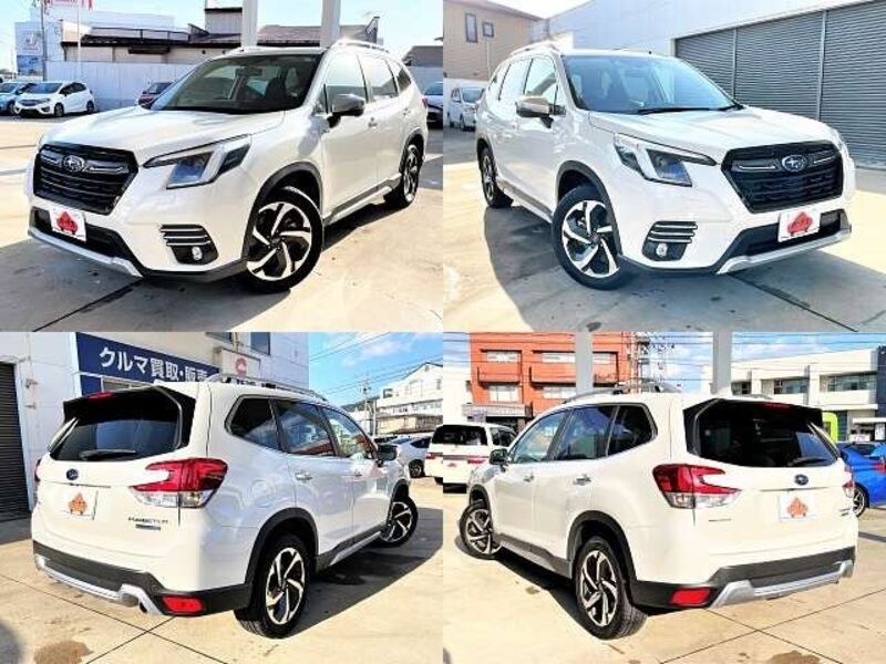 FORESTER