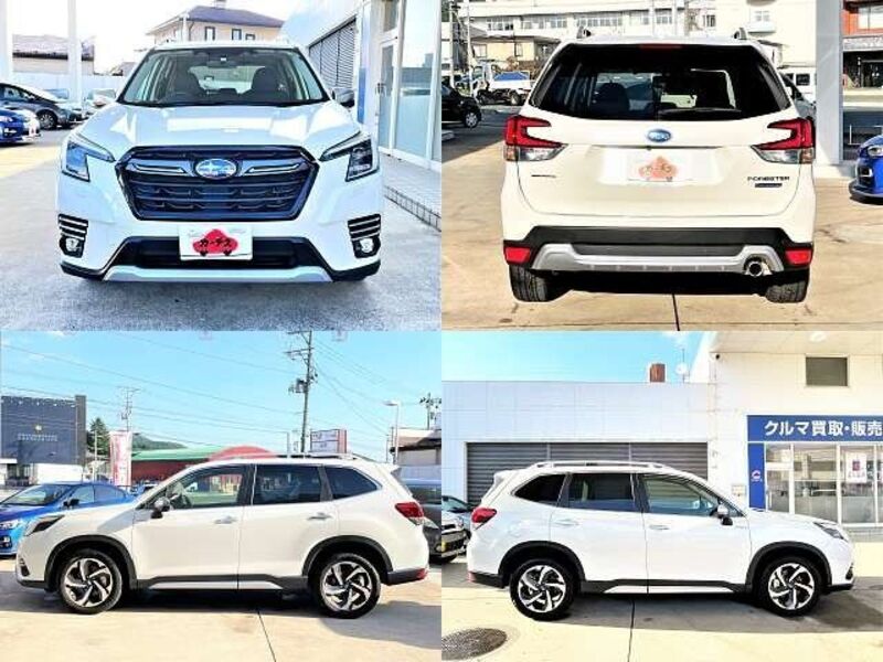 FORESTER
