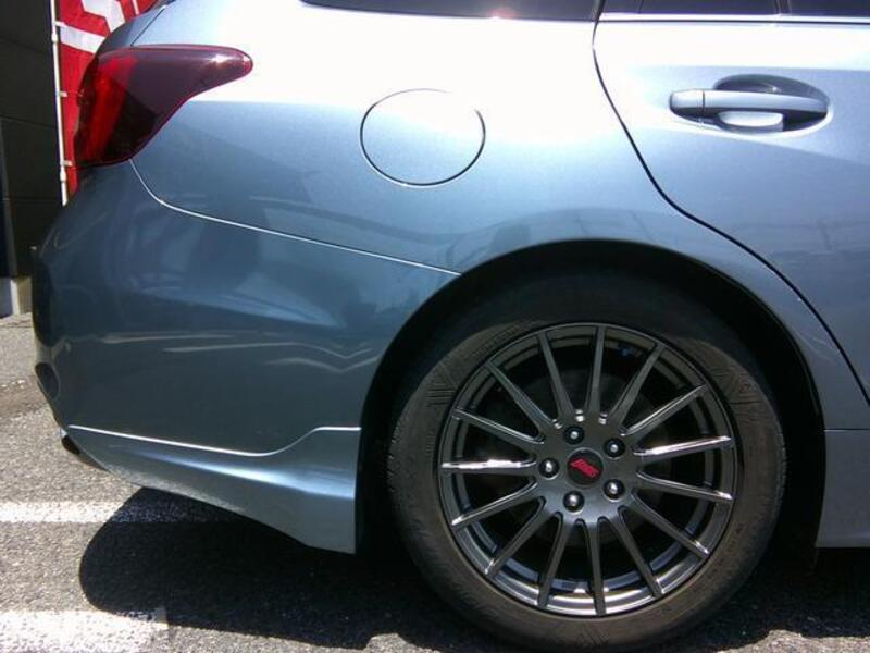 LEVORG