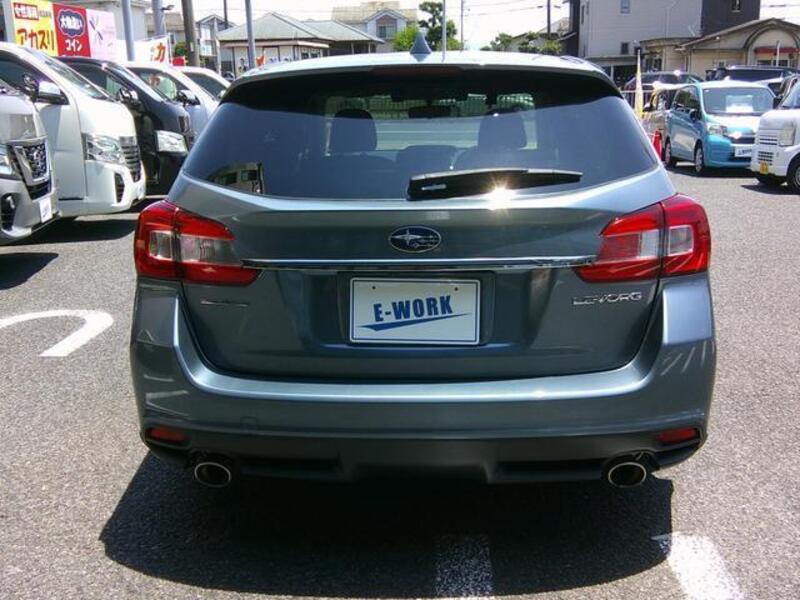 LEVORG