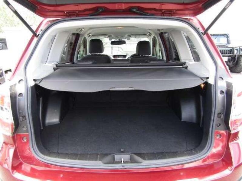 FORESTER