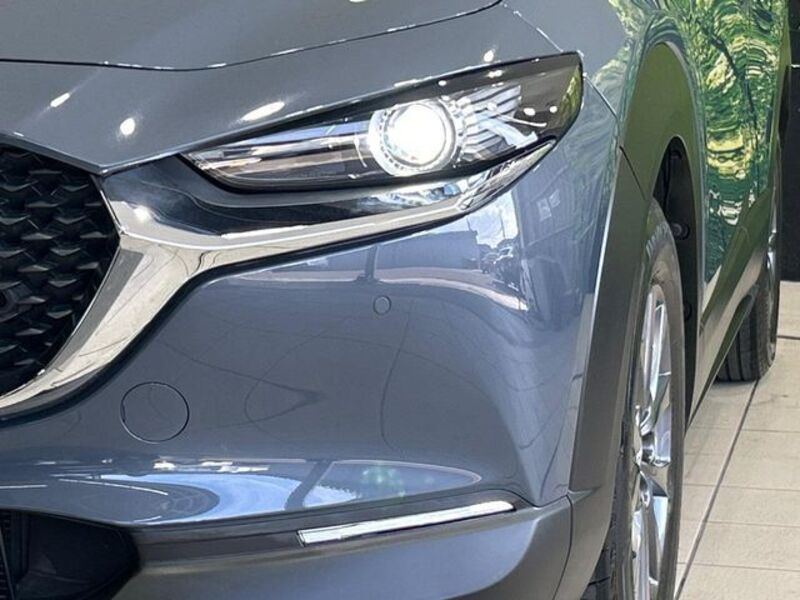 CX-30