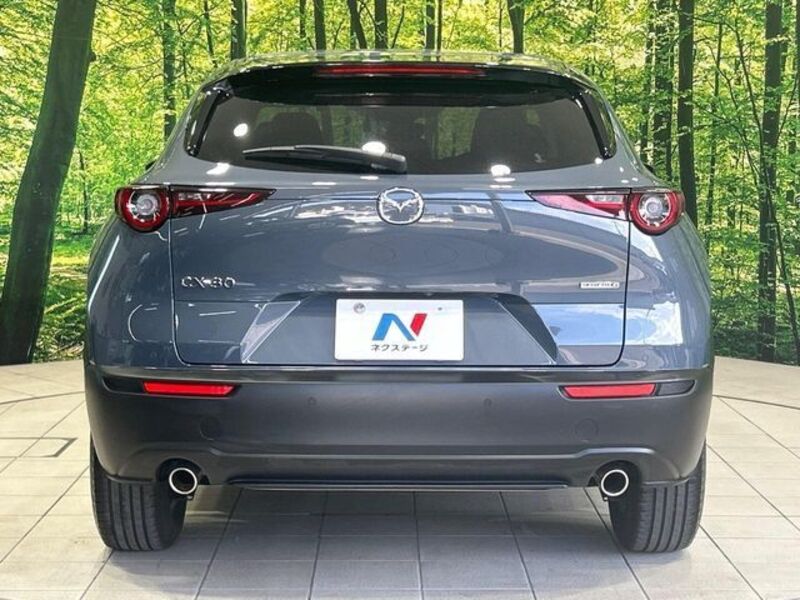 CX-30
