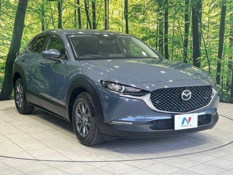 CX-30