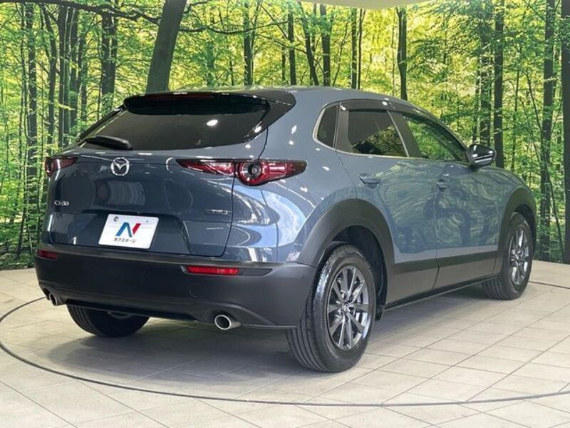 CX-30