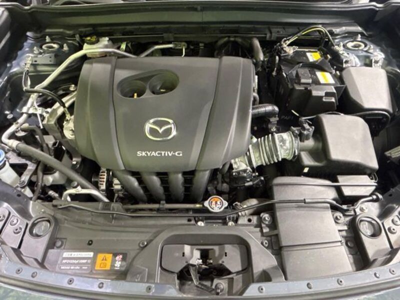 CX-30