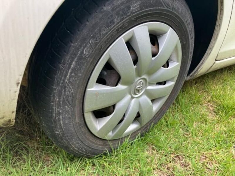BELTA