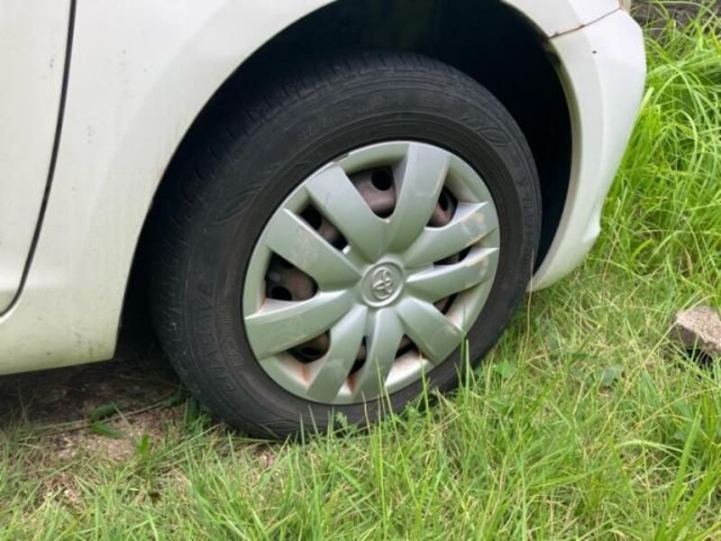 BELTA