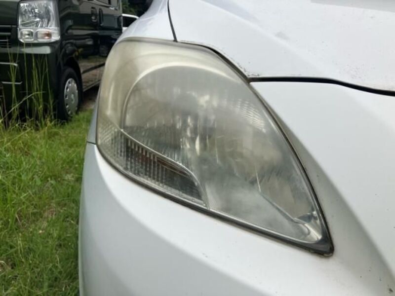 BELTA