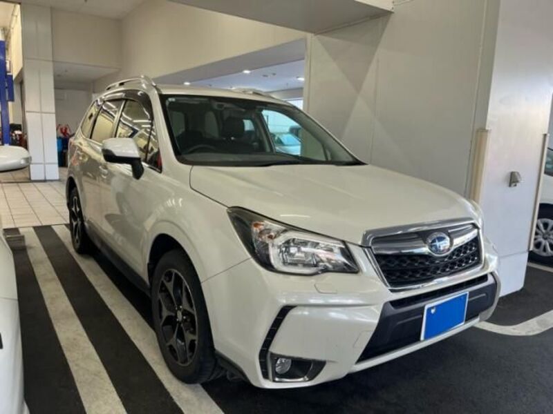 FORESTER