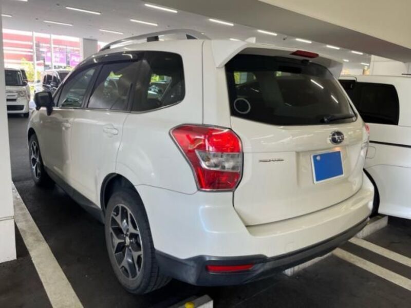 FORESTER