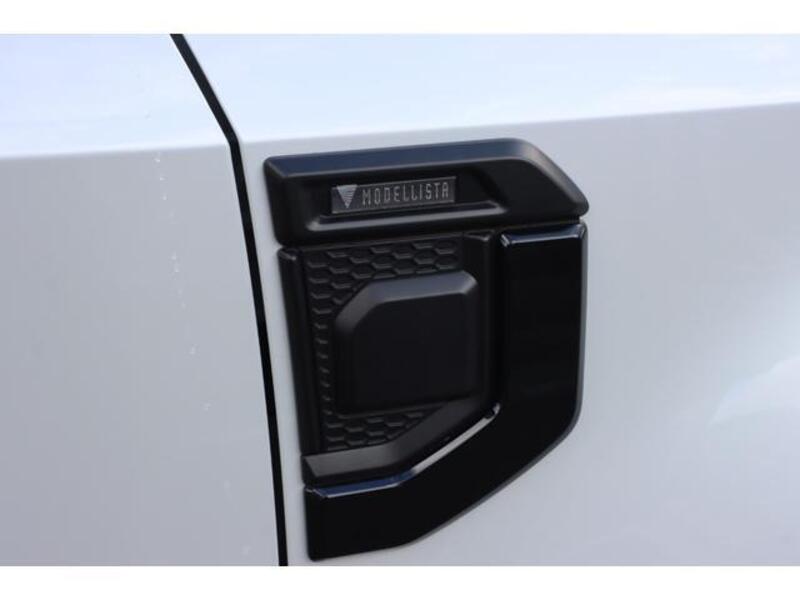 LAND CRUISER 250