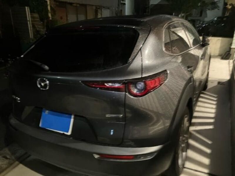 CX-30