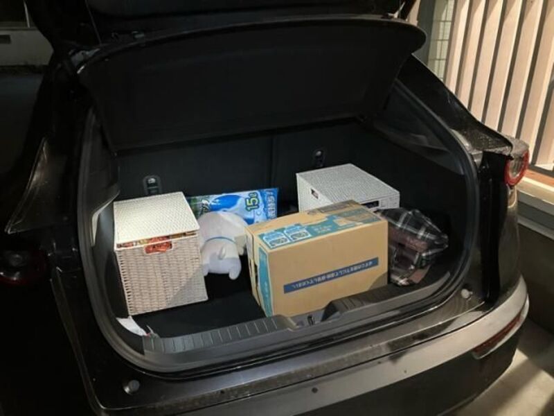 CX-30
