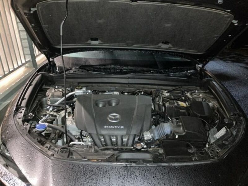 CX-30