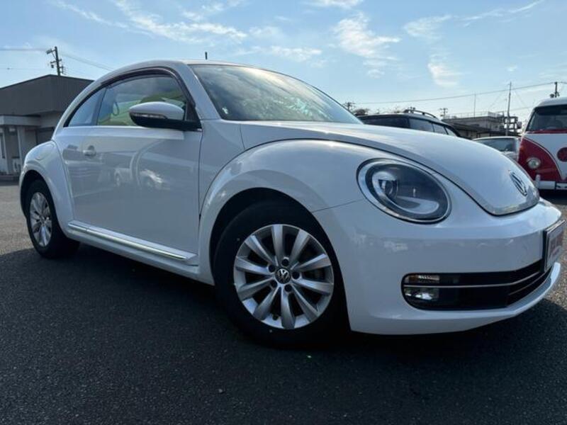 THE BEETLE