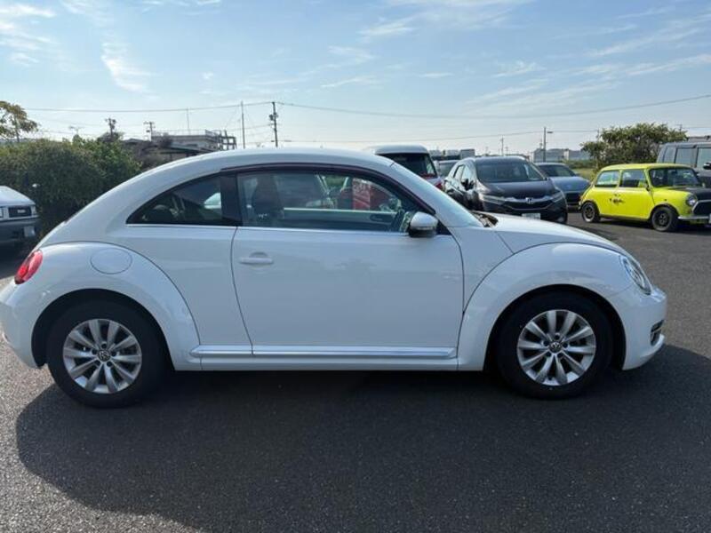 THE BEETLE