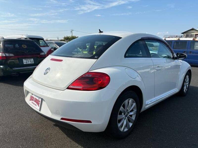 THE BEETLE