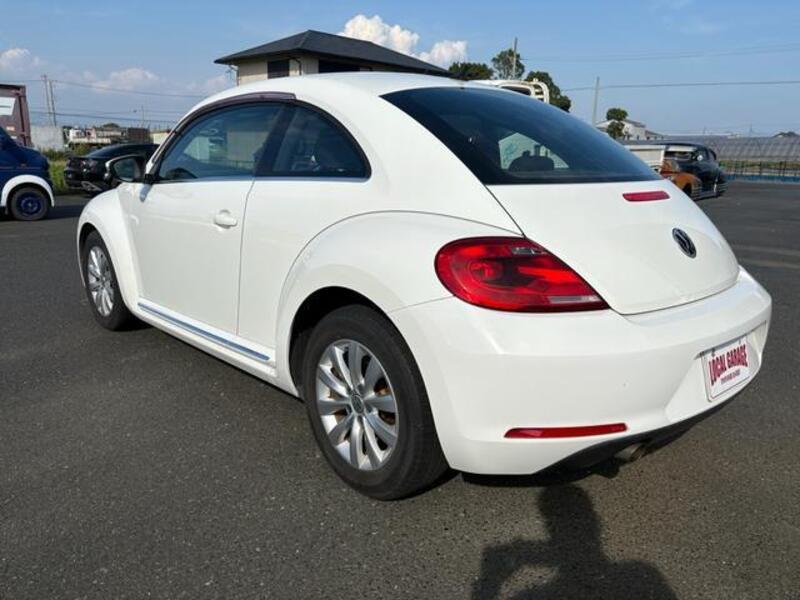 THE BEETLE