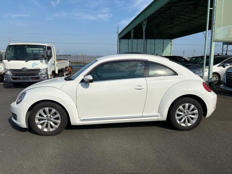 THE BEETLE
