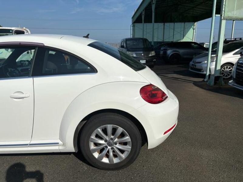 THE BEETLE