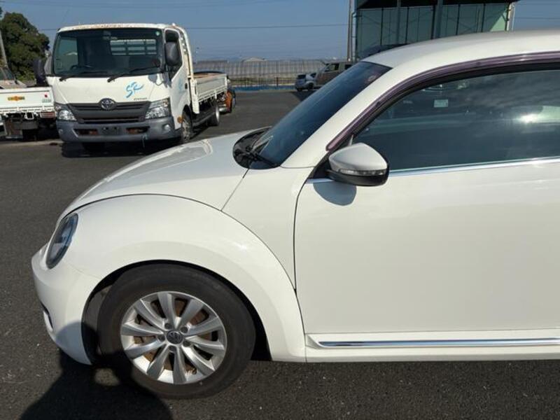 THE BEETLE