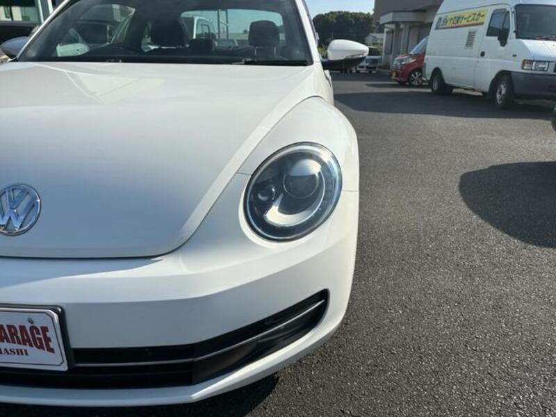 THE BEETLE