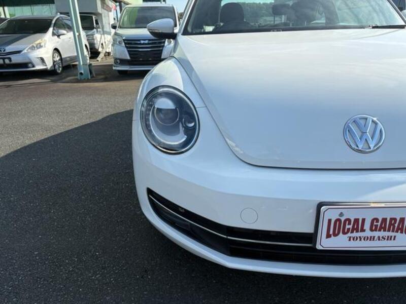 THE BEETLE