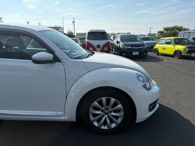 THE BEETLE