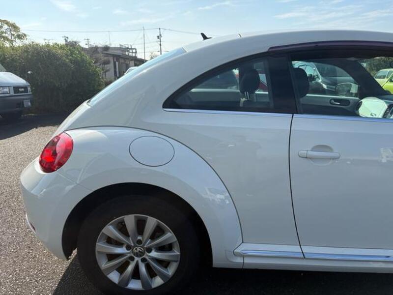 THE BEETLE