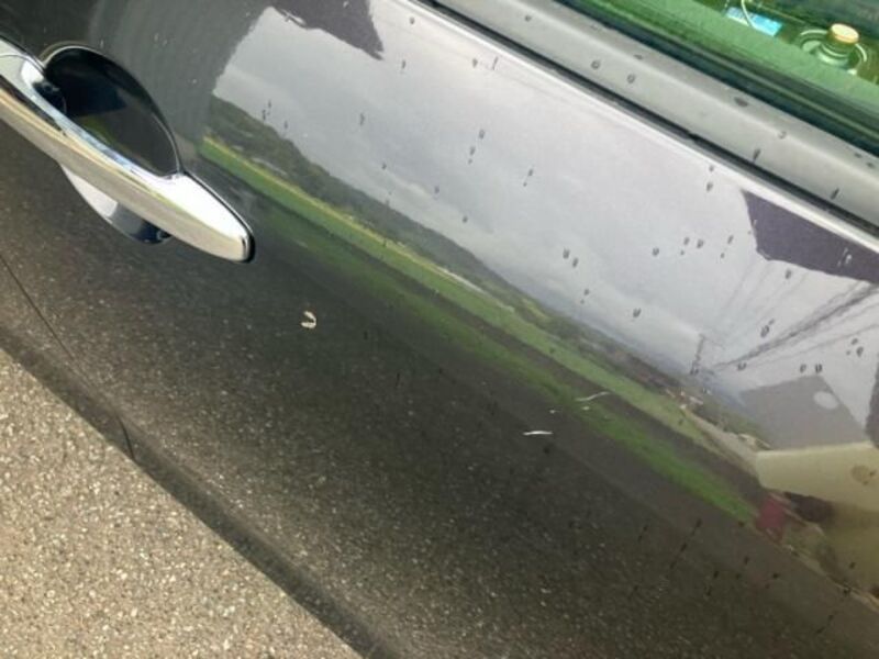 MPV