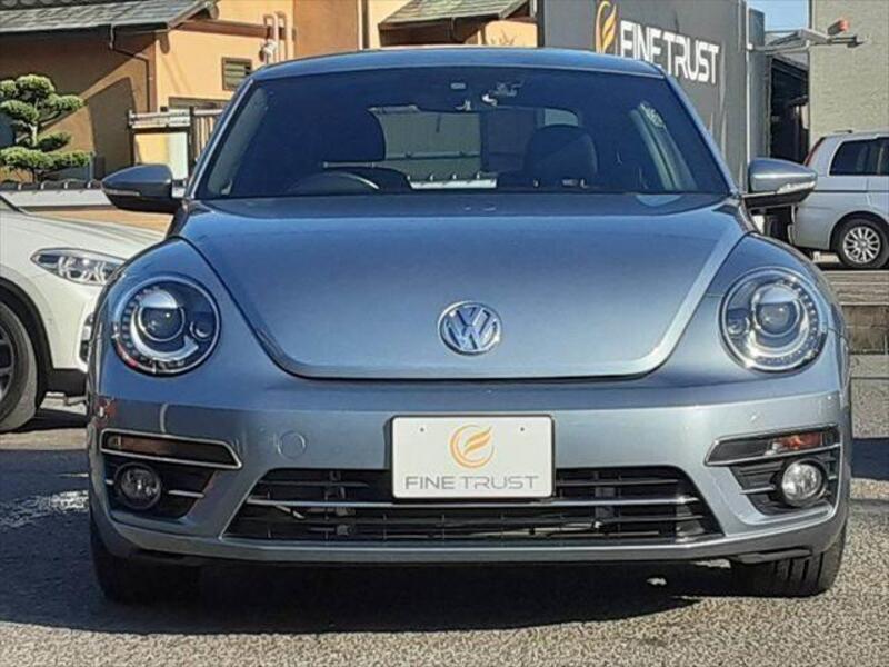 THE BEETLE