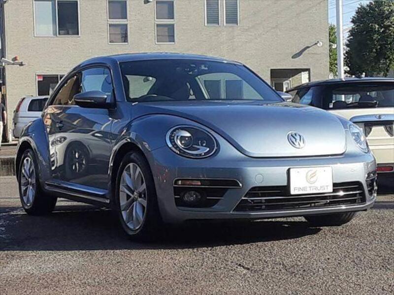 THE BEETLE