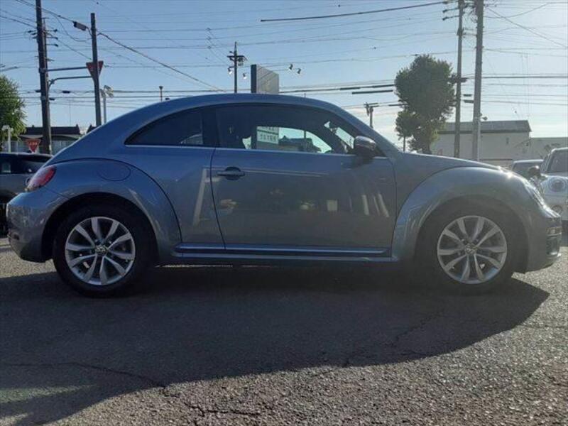 THE BEETLE