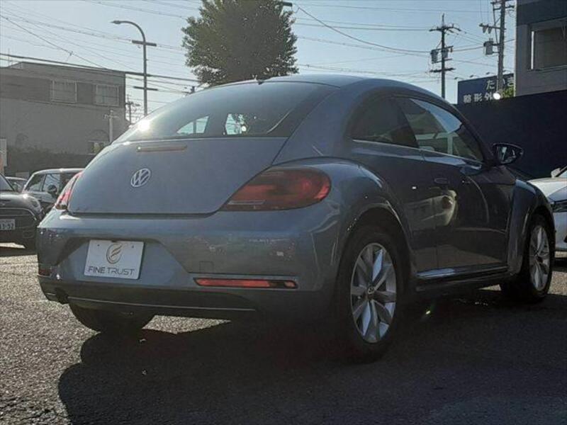 THE BEETLE