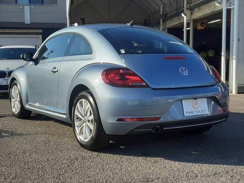 THE BEETLE