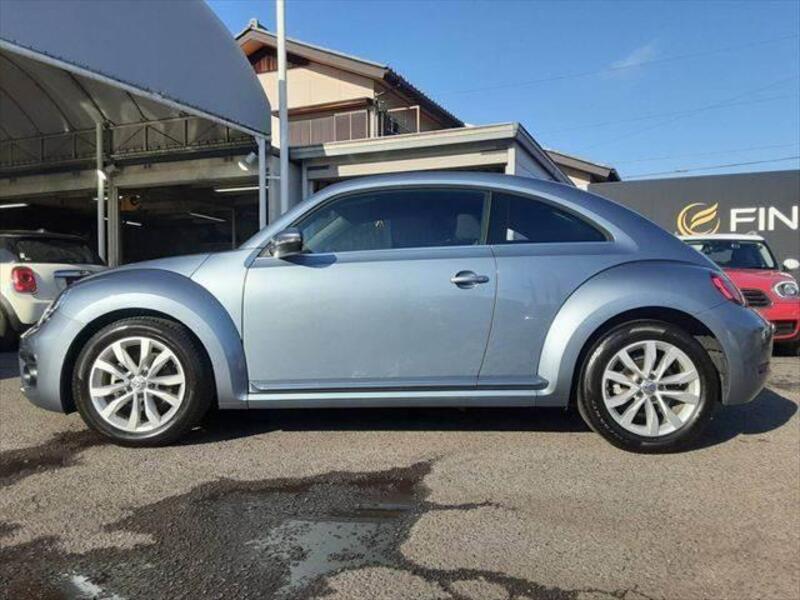 THE BEETLE