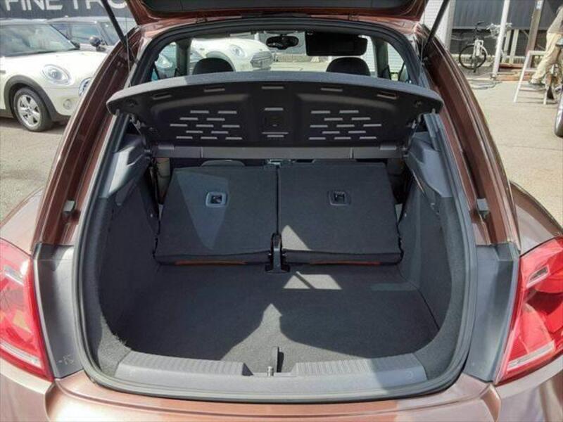 THE BEETLE