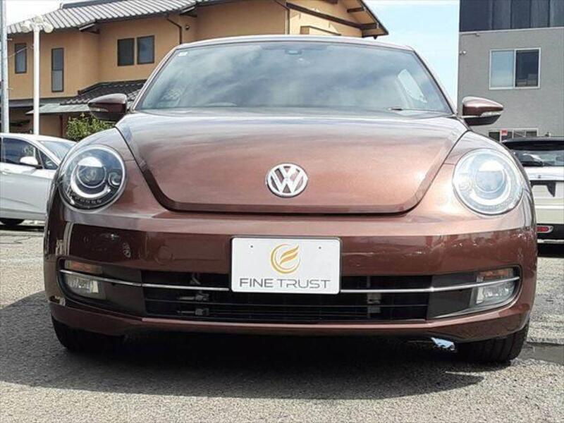 THE BEETLE