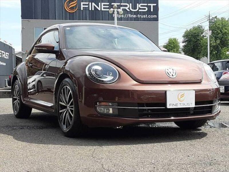 THE BEETLE