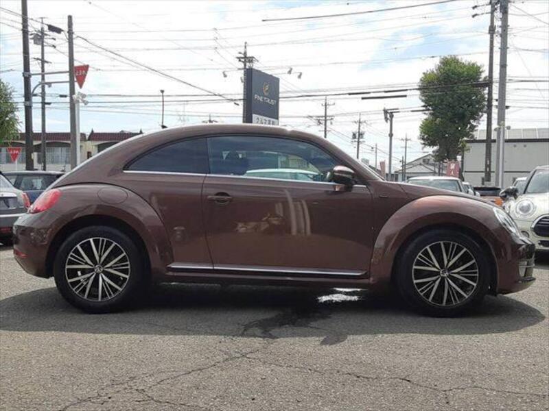 THE BEETLE