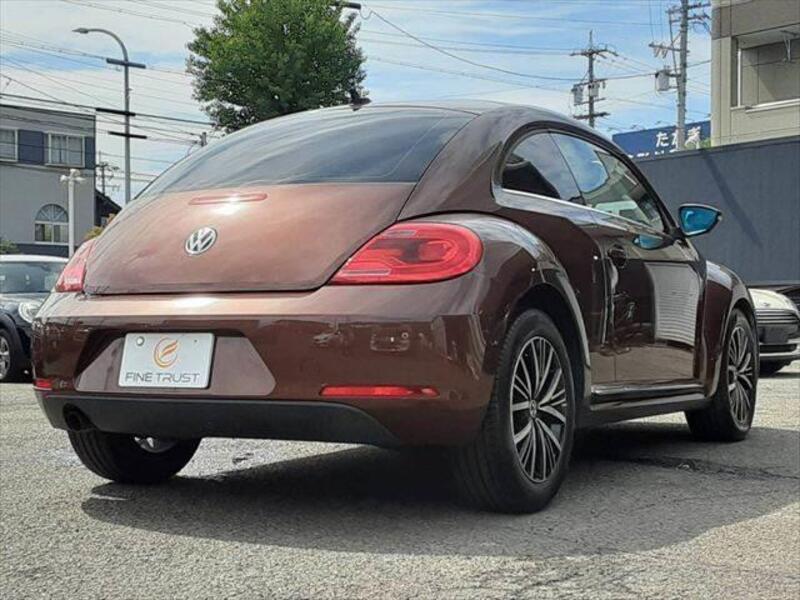 THE BEETLE