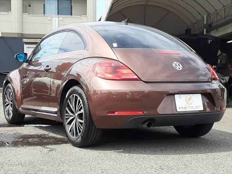 THE BEETLE