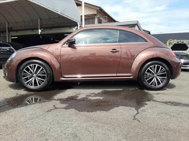 THE BEETLE