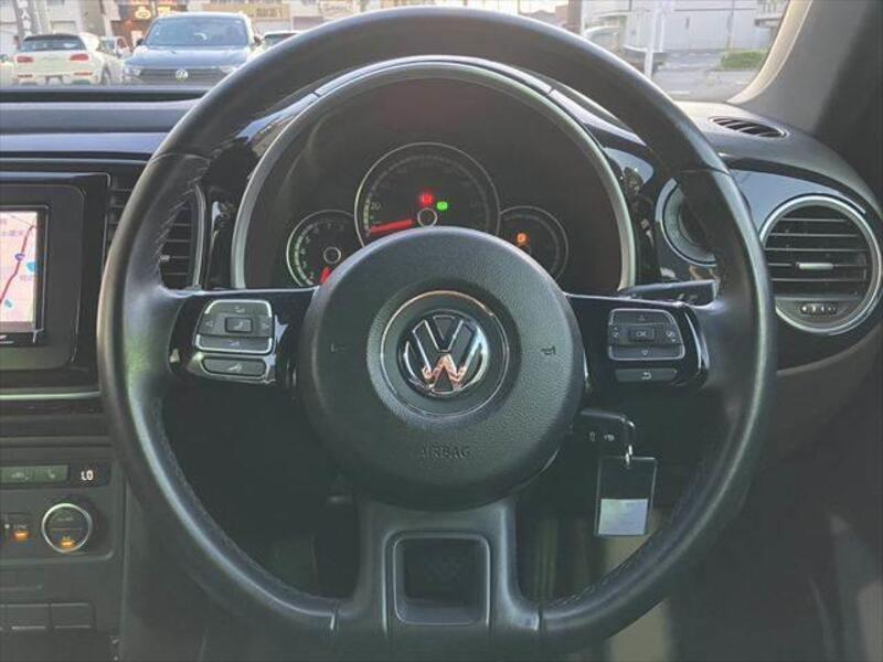 THE BEETLE